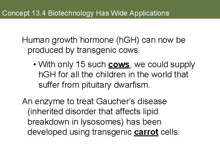 Concept 13. 4 Biotechnology Has Wide Applications Human growth hormone (h. GH) can now