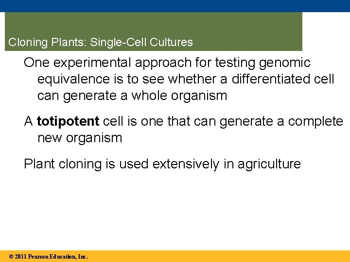 Cloning Plants: Single-Cell Cultures One experimental approach for testing genomic equivalence is to see