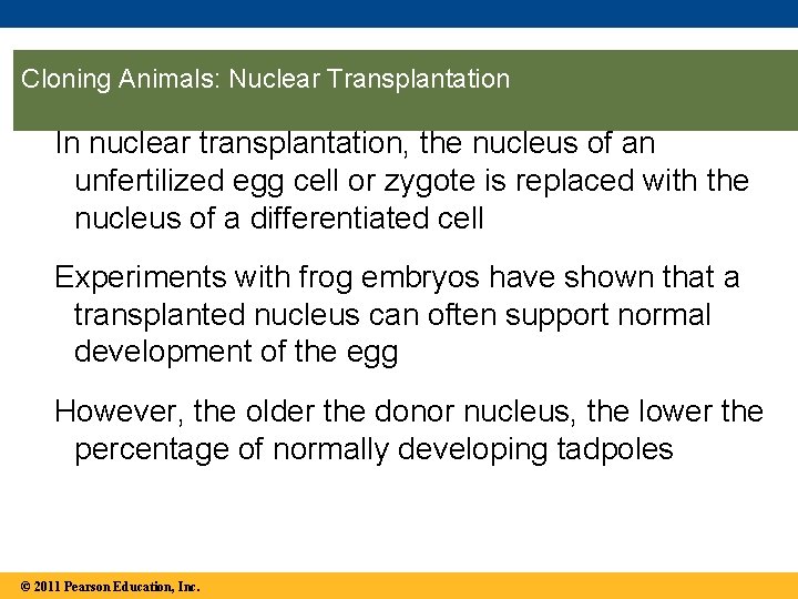 Cloning Animals: Nuclear Transplantation In nuclear transplantation, the nucleus of an unfertilized egg cell