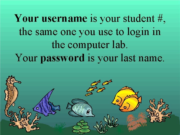Your username is your student #, the same one you use to login in