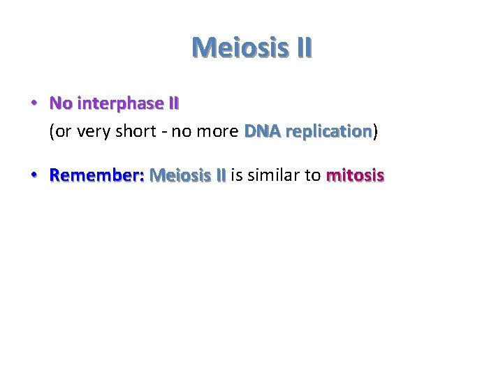 Meiosis II • No interphase II (or very short - no more DNA replication)