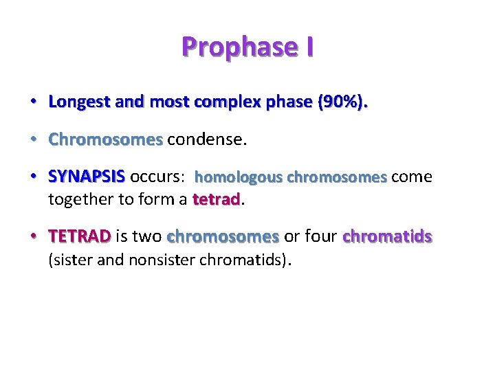 Prophase I • Longest and most complex phase (90%). • Chromosomes condense. • SYNAPSIS