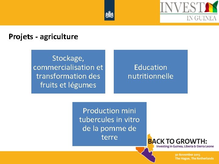 Projets - agriculture Stockage, commercialisation et transformation des fruits et légumes Education nutritionnelle Production