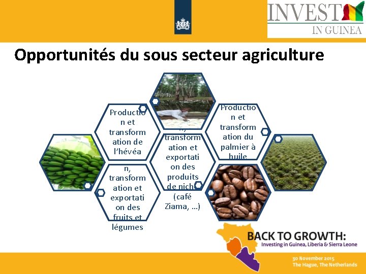 Opportunités du sous secteur agriculture Productio n et transform ation de l’hévéa Productio n,