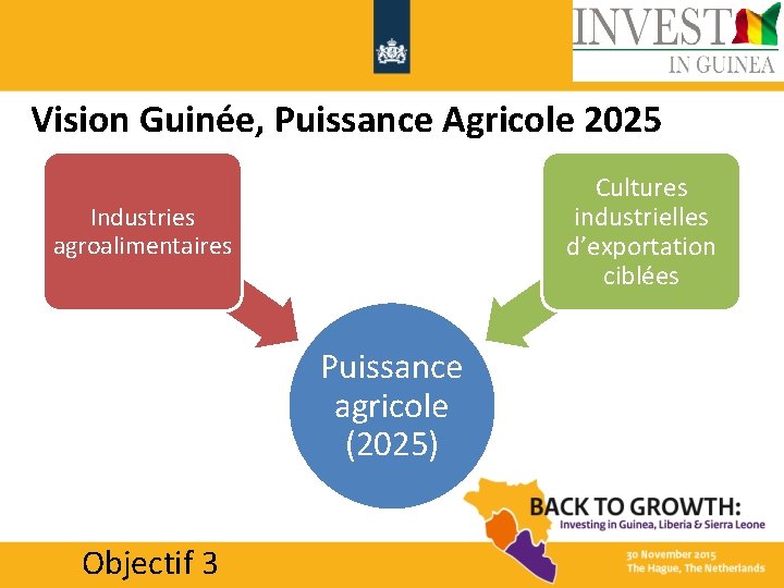 Vision Guinée, Puissance Agricole 2025 Cultures industrielles d’exportation ciblées Industries agroalimentaires Puissance agricole (2025)