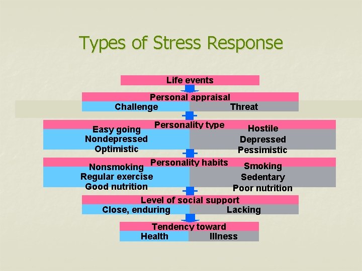 Types of Stress Response Life events Personal appraisal Challenge Threat Personality type Easy going
