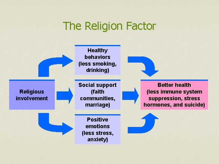 The Religion Factor Healthy behaviors (less smoking, drinking) Religious involvement Social support (faith communities,