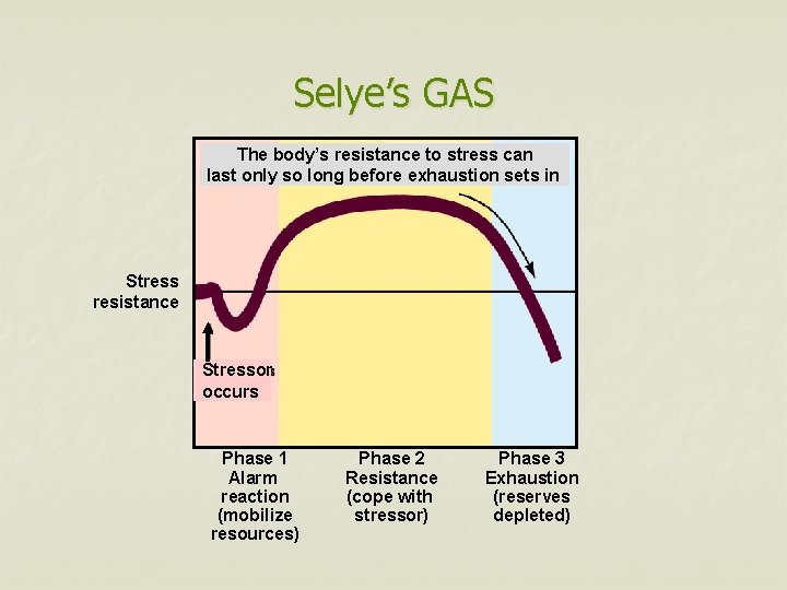 Selye’s GAS The body’s resistance to stress can last only so long before exhaustion
