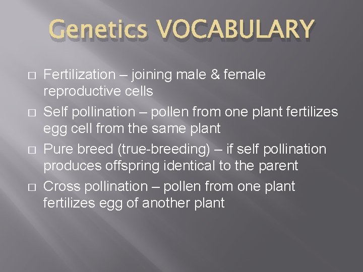Genetics VOCABULARY � � Fertilization – joining male & female reproductive cells Self pollination