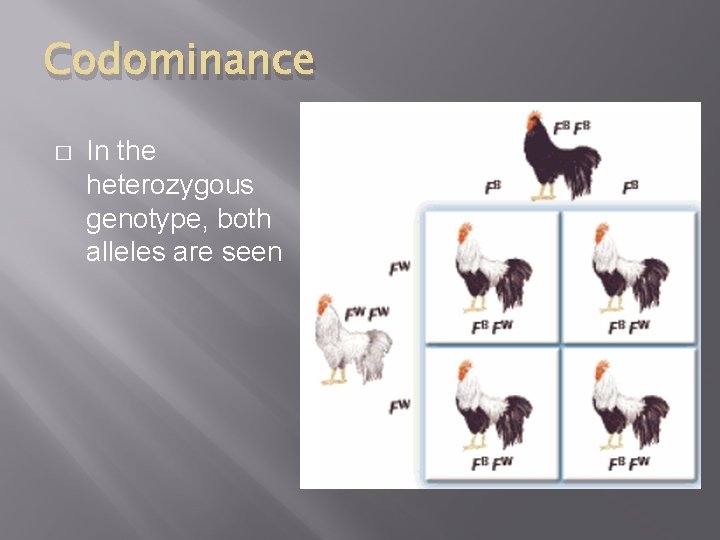 Codominance � In the heterozygous genotype, both alleles are seen 