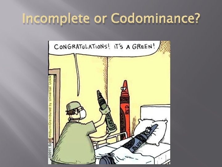 Incomplete or Codominance? 