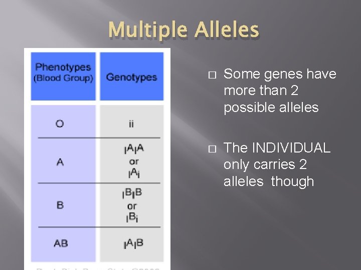Multiple Alleles � Some genes have more than 2 possible alleles � The INDIVIDUAL