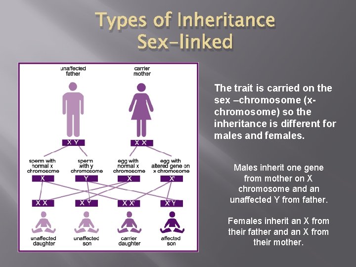 Types of Inheritance Sex-linked The trait is carried on the sex –chromosome (xchromosome) so