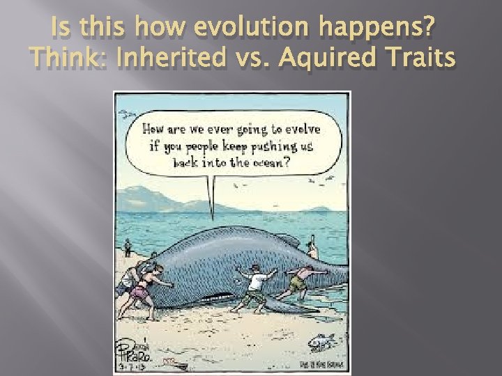 Is this how evolution happens? Think: Inherited vs. Aquired Traits 