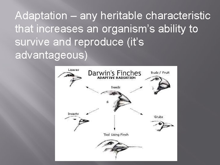 Adaptation – any heritable characteristic that increases an organism’s ability to survive and reproduce