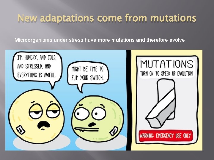 New adaptations come from mutations Microorganisms under stress have more mutations and therefore evolve
