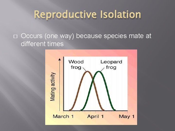 Reproductive Isolation � Occurs (one way) because species mate at different times 