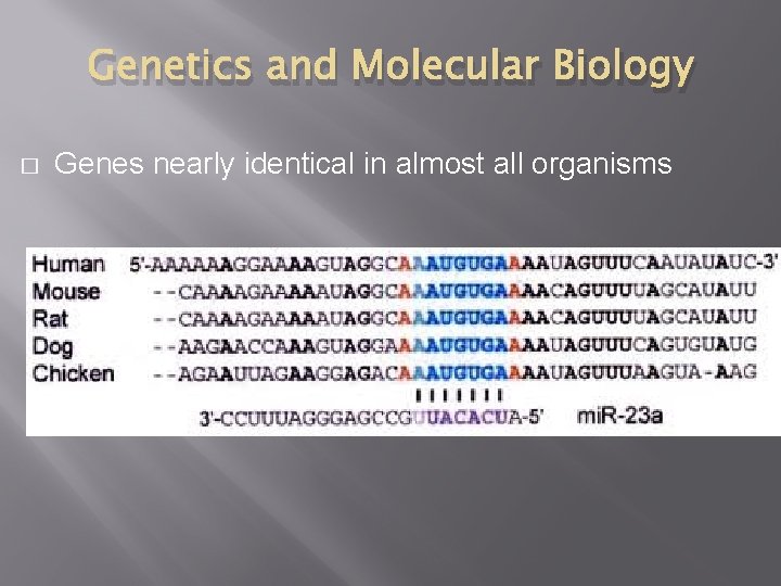 Genetics and Molecular Biology � Genes nearly identical in almost all organisms 