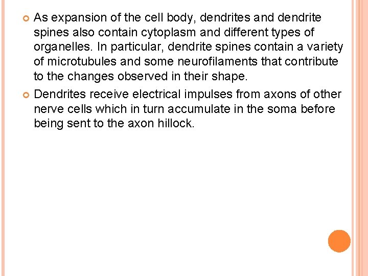 As expansion of the cell body, dendrites and dendrite spines also contain cytoplasm and