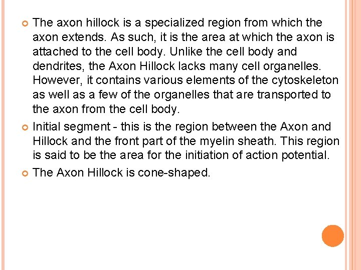 The axon hillock is a specialized region from which the axon extends. As such,