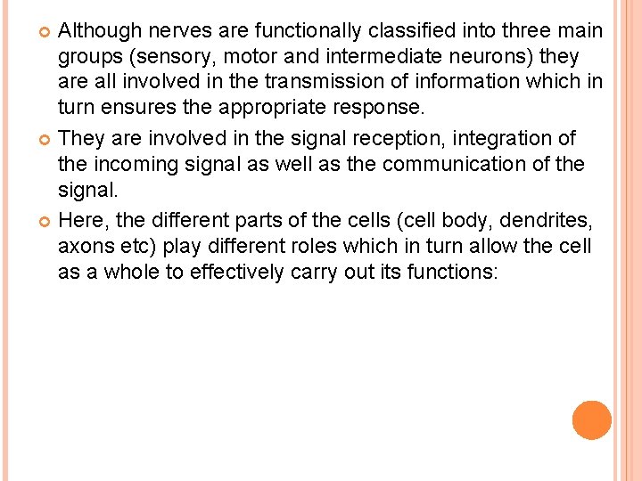Although nerves are functionally classified into three main groups (sensory, motor and intermediate neurons)