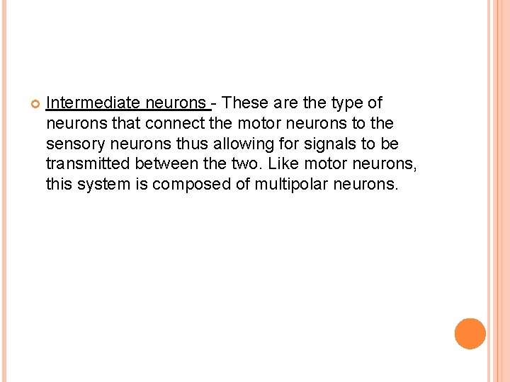  Intermediate neurons - These are the type of neurons that connect the motor