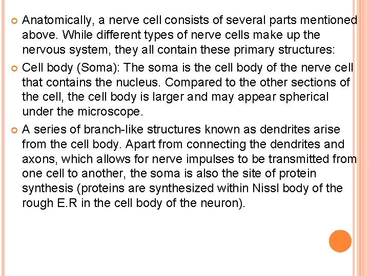 Anatomically, a nerve cell consists of several parts mentioned above. While different types of
