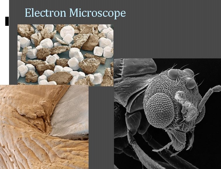 Electron Microscope 18 