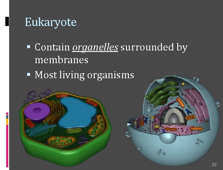 Eukaryote Contain organelles surrounded by membranes Most living organisms 33 