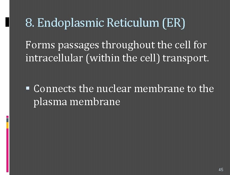 8. Endoplasmic Reticulum (ER) Forms passages throughout the cell for intracellular (within the cell)