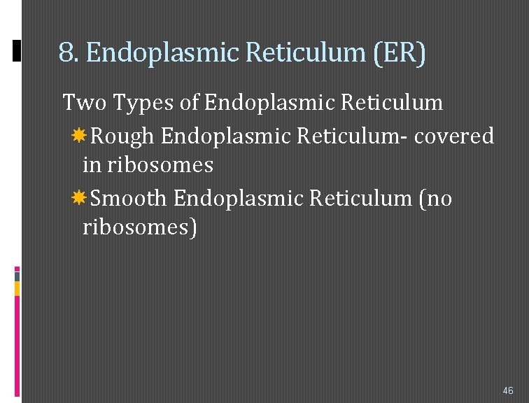 8. Endoplasmic Reticulum (ER) Two Types of Endoplasmic Reticulum Rough Endoplasmic Reticulum- covered in