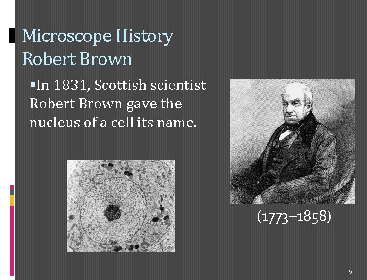 Microscope History Robert Brown In 1831, Scottish scientist Robert Brown gave the nucleus of