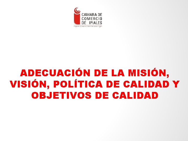 ENLACE – Consultores en Gestión Empresa rial Ltda. - 7 ADECUACIÓN DE LA MISIÓN,