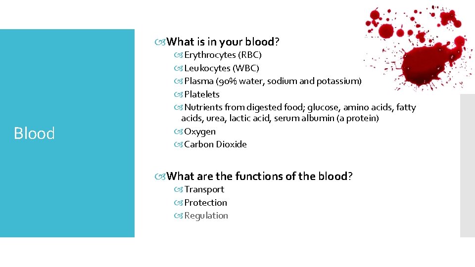  What is in your blood? Blood Erythrocytes (RBC) Leukocytes (WBC) Plasma (90% water,