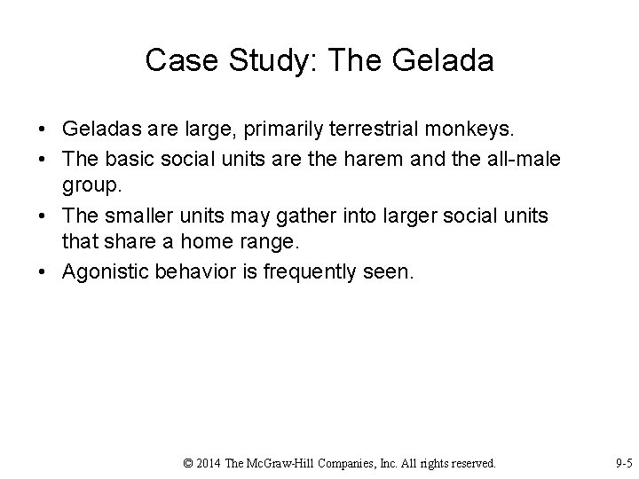 Case Study: The Gelada • Geladas are large, primarily terrestrial monkeys. • The basic