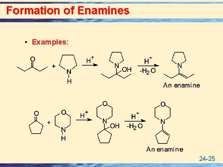 Formation of Enamines • Examples: 24 -25 