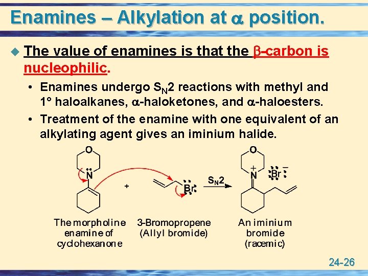 Enamines – Alkylation at position. value of enamines is that the -carbon is nucleophilic.