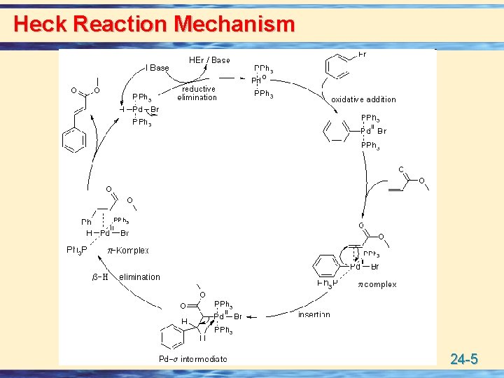 Heck Reaction Mechanism 24 -5 