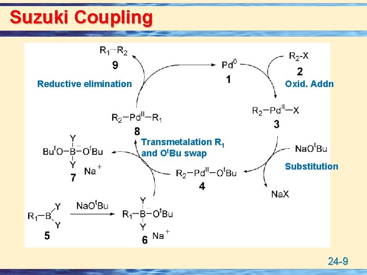 Suzuki Coupling Reductive elimination Oxid. Addn Transmetalation R 1 and Ot. Bu swap Substitution