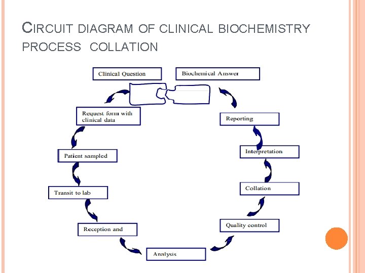 CIRCUIT DIAGRAM OF CLINICAL BIOCHEMISTRY PROCESS COLLATION 