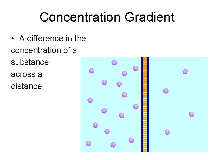 Concentration Gradient • A difference in the concentration of a substance across a distance