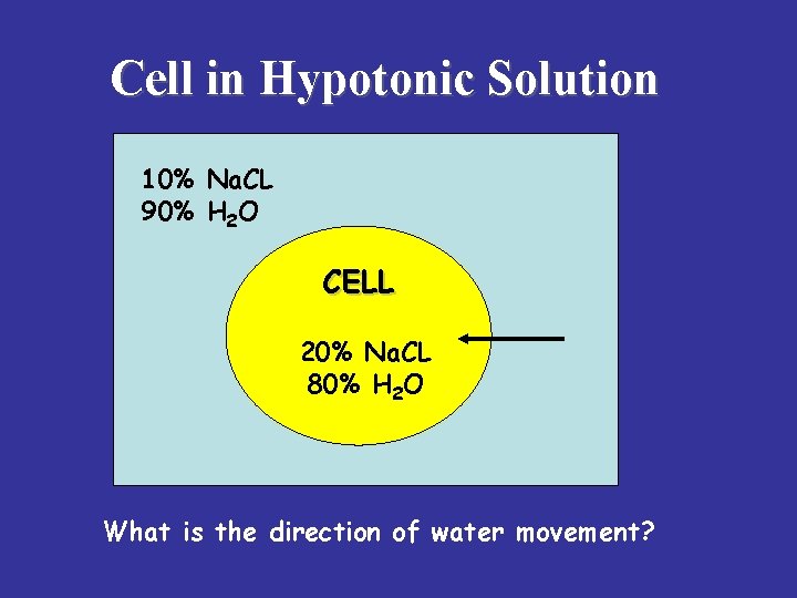 Cell in Hypotonic Solution 10% Na. CL 90% H 2 O CELL 20% Na.