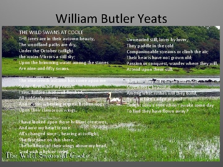 William Butler Yeats THE WILD SWANS AT COOLE THE trees are in their autumn