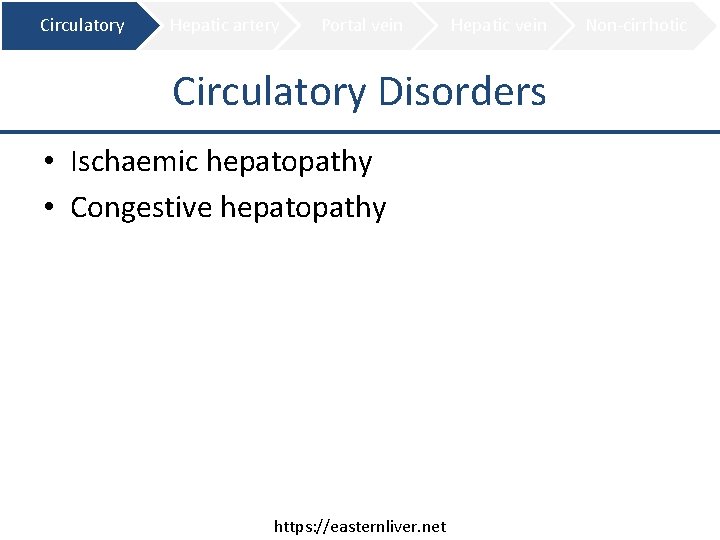 Circulatory Hepatic artery Portal vein Hepatic vein Circulatory Disorders • Ischaemic hepatopathy • Congestive