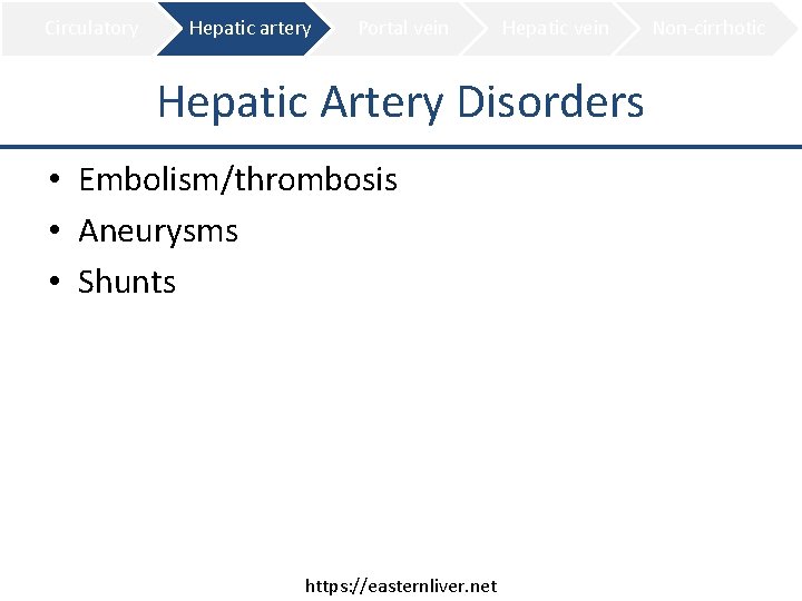 Circulatory Hepatic artery Portal vein Hepatic Artery Disorders • Embolism/thrombosis • Aneurysms • Shunts