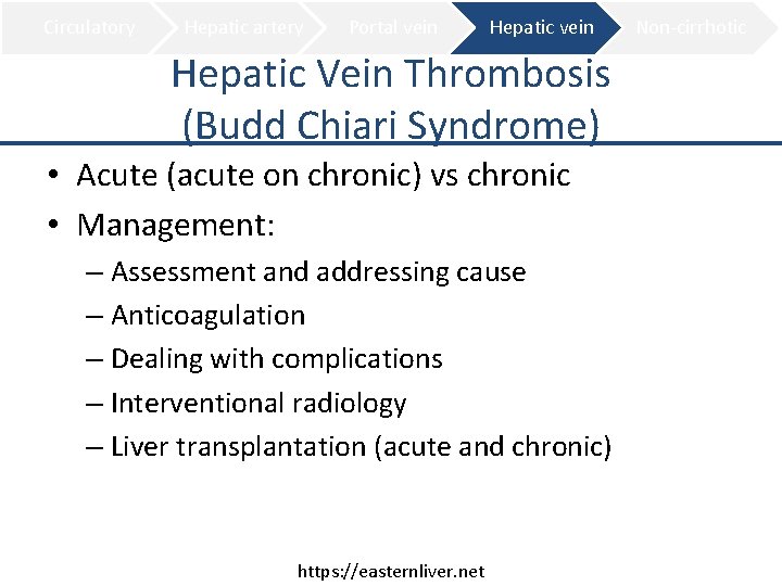 Circulatory Hepatic artery Portal vein Hepatic Vein Thrombosis (Budd Chiari Syndrome) • Acute (acute