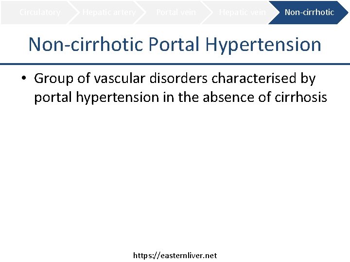 Circulatory Hepatic artery Portal vein Hepatic vein Non-cirrhotic Portal Hypertension • Group of vascular