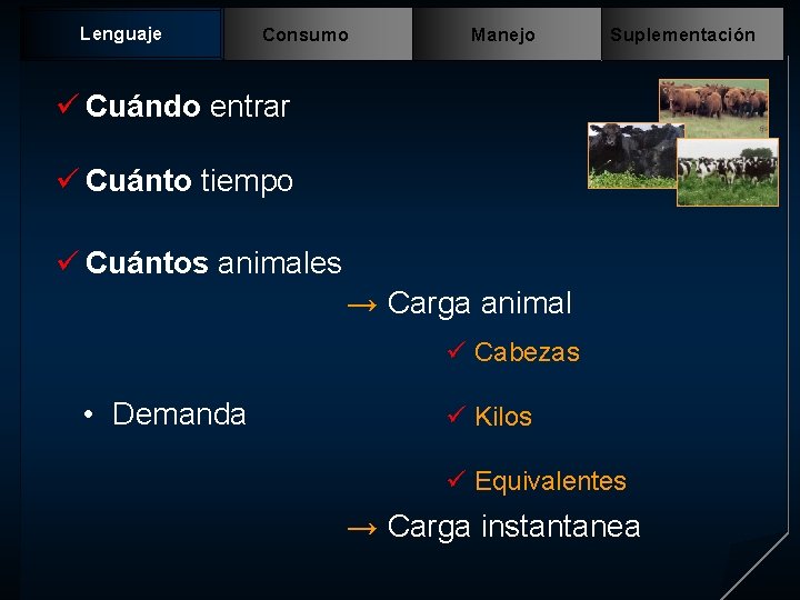 Lenguaje Consumo Manejo Suplementación ü Cuándo entrar ü Cuánto tiempo ü Cuántos animales →