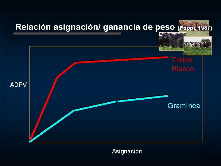 Relación asignación/ ganancia de peso (Poppi, 1987) Trébol Blanco ADPV Gramínea Asignación 