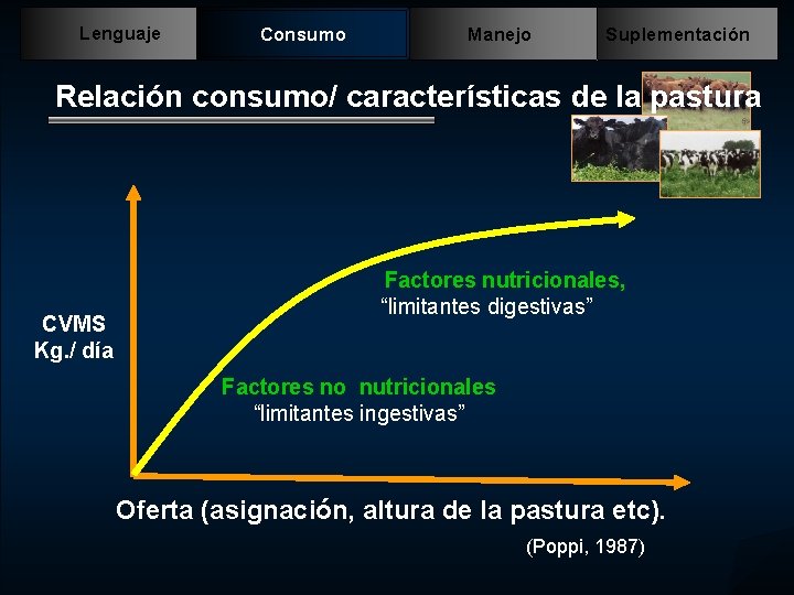 Lenguaje Consumo Manejo Suplementación Relación consumo/ características de la pastura CVMS Kg. / día